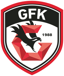 gfk icon